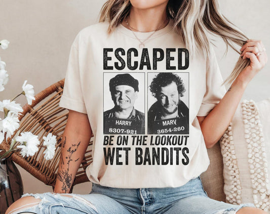 Escaped wet bandits, home alone